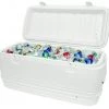 Igloo Polar 120 Cool Box Camping Ice Chest -Camping Sales Store s l1600 03702.1502054779